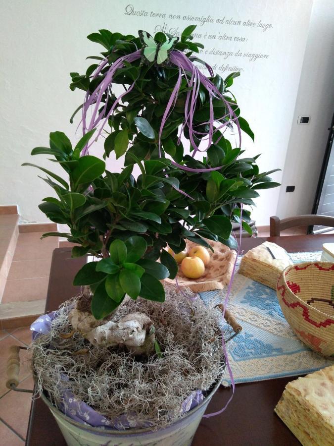 Locanda B&B Dandana Оргозоло Екстериор снимка